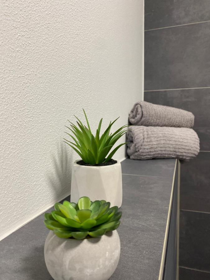 Wood II Appartement Bad Salzuflen Εξωτερικό φωτογραφία